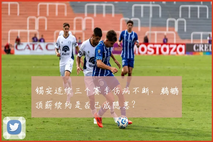 锡安连续三个赛季伤病不断，鹈鹕顶薪续约是否已成隐患？
